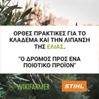 Seminar Wednesday 23/3 at 18:00 by STIHL Greece on pruning and fertilizing olive trees