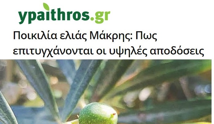 Πως επιτυγχάνονται υψηλες αποδόσεις στην ποικιλία Μάκρης (Ypaithros.gr)