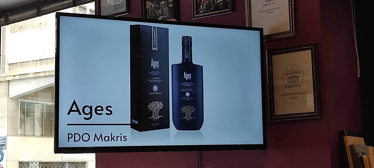 Seminars on how to organise extra virgin olive oil taste testing sessions by PARATUS Europe for Cinque wine bar management.