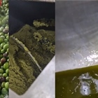 The first early harvest oil has been pressed, and the aroma in the olive mill is divine!! (video)