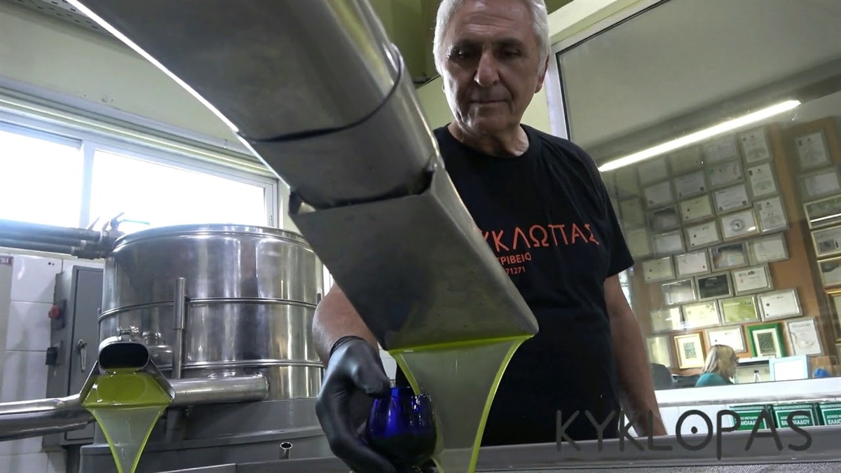 Early Harvest Kyklopas - The Production- How Olive Oil Is Made (video)