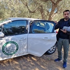Ιnspection of olives from Kyklopas' organic groves.