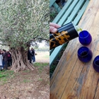 Αριστοτέλειο Πανεπιστήμιο Θεσσαλονίκης στον Κύκλωπα !