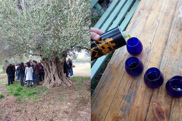 Aristotle University of Thessaloniki at Kyklopas!