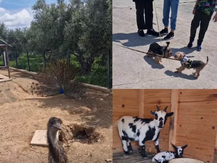 Σάββατο στον Κύκλωπα! (video)