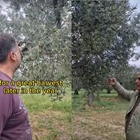Good morning from Kyklopas (video)