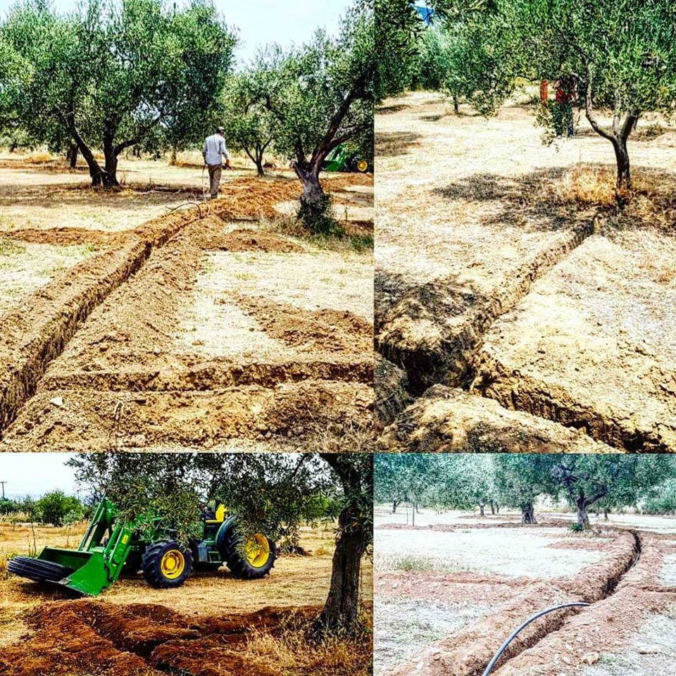 Automated irrigation system at kyklopas olive groves! Kyklopas