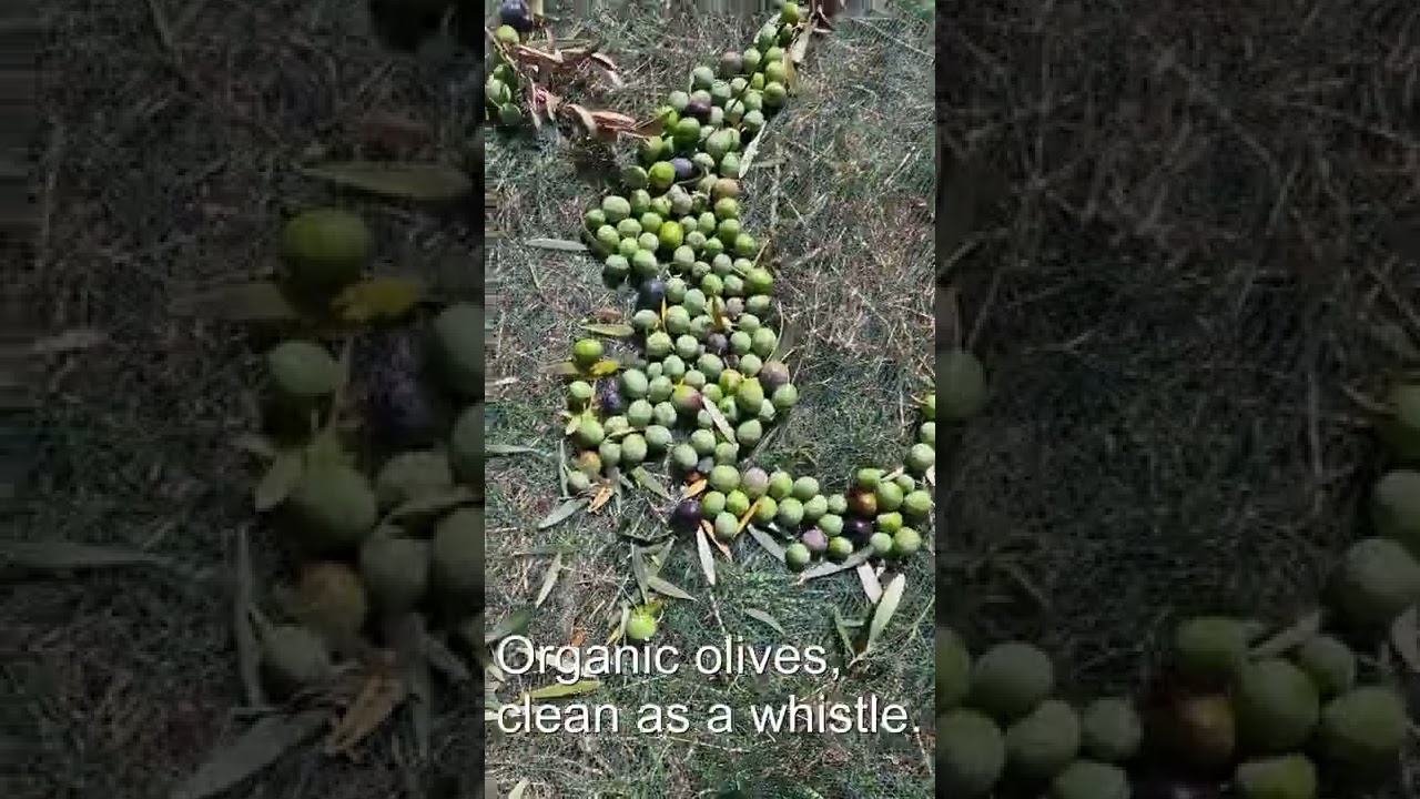 855