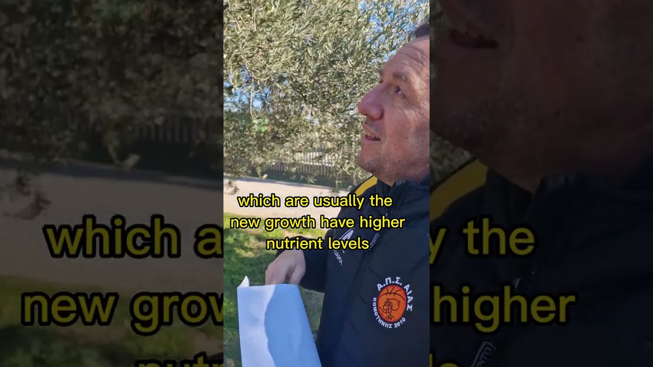 928